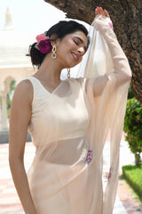 ADINA SEQUIN-AARI WORK CHIFFON SAREE