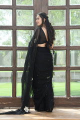 SUHARIA PITTAN-BEAD WORK CHIFFON SAREE