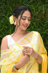 NADIA SHIBORI CHIFFON SAREE